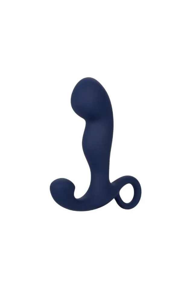 Cal Exotics Anal Cal Exotics Viceroy Rechargeable Command Probe Blue